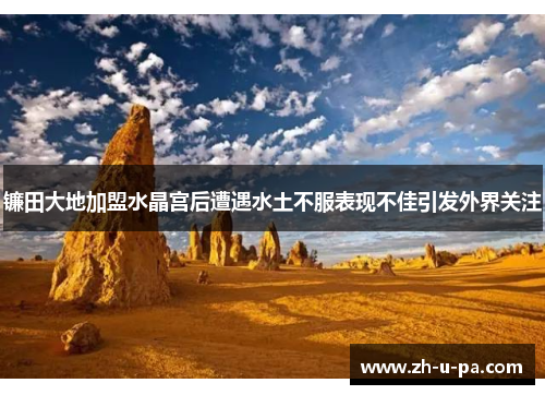 镰田大地加盟水晶宫后遭遇水土不服表现不佳引发外界关注 镰田大地加盟水晶宫后遭遇水土不服表现不佳引发外界关注