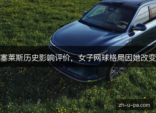 塞莱斯历史影响评价,女子网球格局因她改变 塞莱斯历史影响评价,女子网球格局因她改变